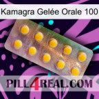 Kamagra Gelée Orale 100 new11